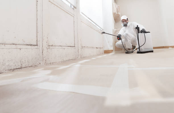 24/7 Emergency Black Mold Removal experts in Chester, PA